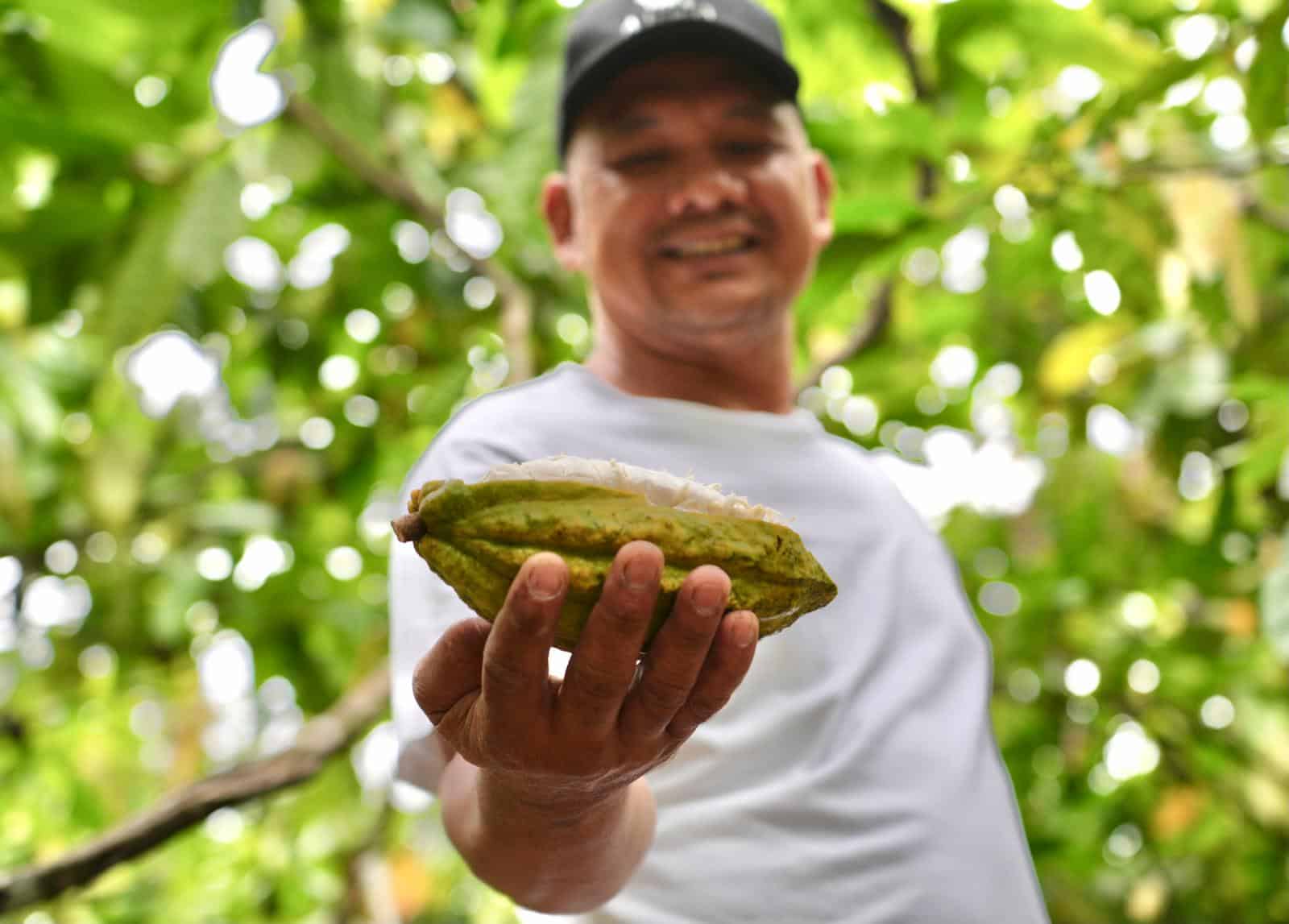 SILVA CACAO - Key Insights, Takeaways and Best Practices for EUDR Compliance