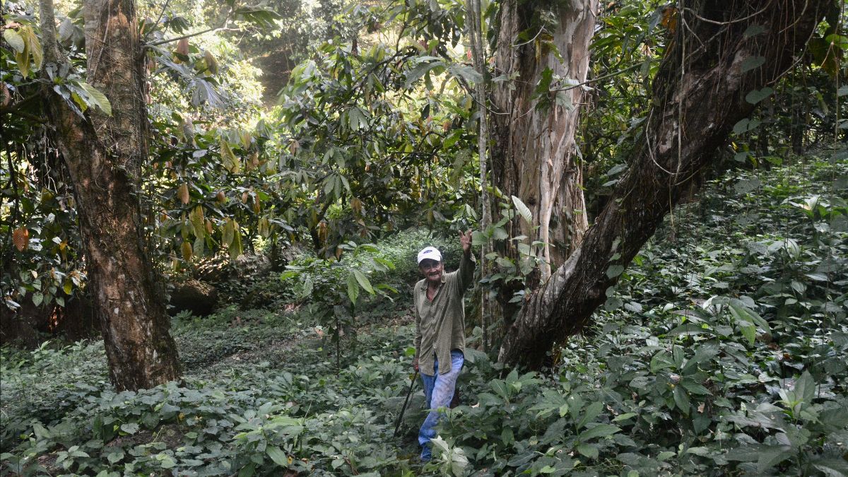 SILVA CACAO - Key Insights, Takeaways and Best Practices for EUDR Compliance
