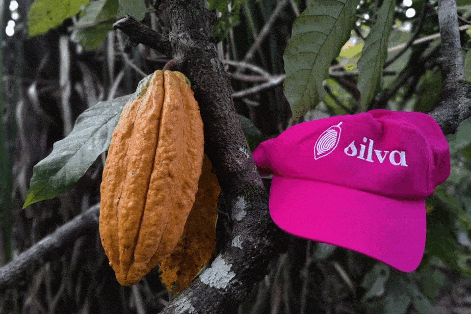 SILVA CACAO – Key Insights, Takeaways and Best Practices for EUDR Compliance SILVA CACAO - Key Insights, Takeaways and Best Practices for EUDR Compliance