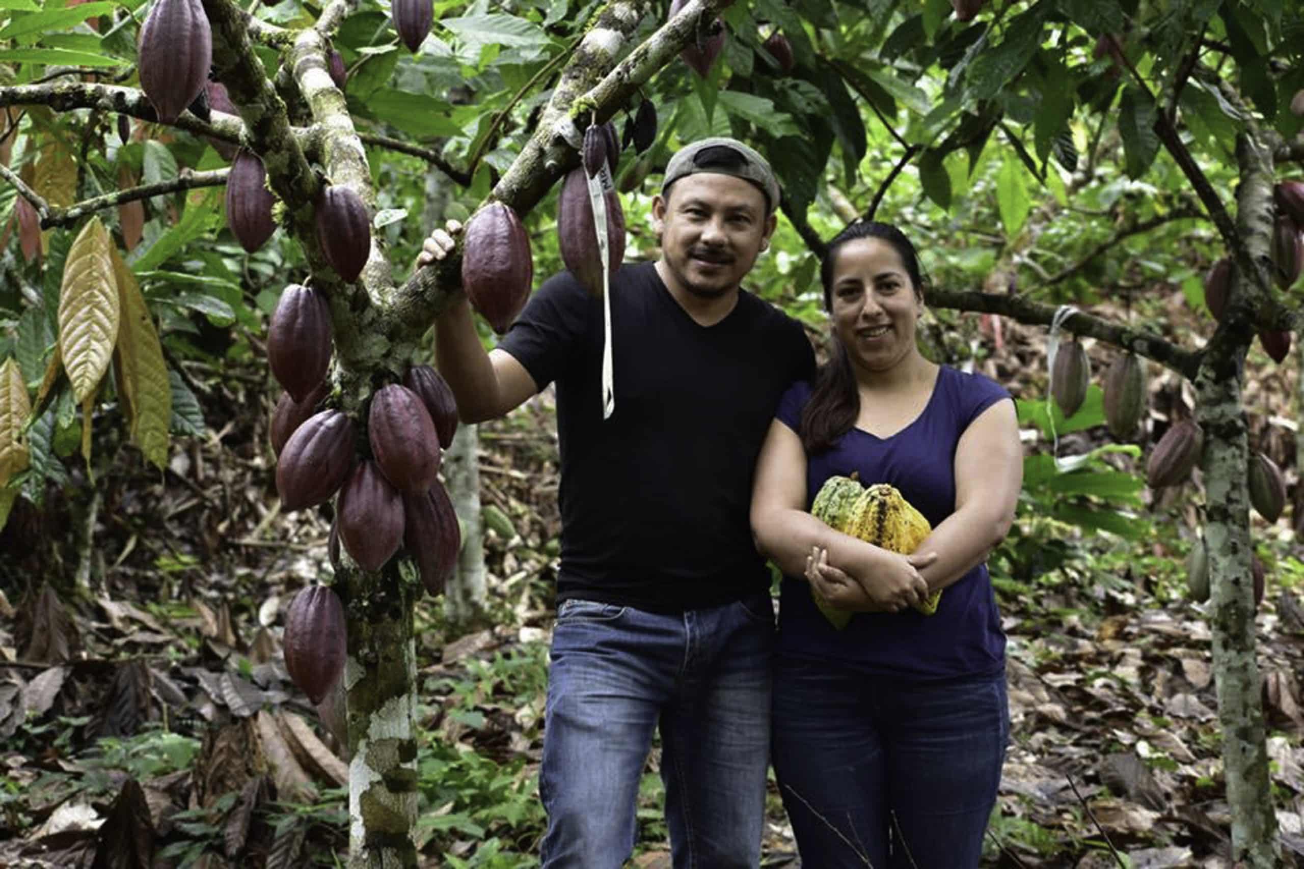 SILVA CACAO - Key Insights, Takeaways and Best Practices for EUDR Compliance